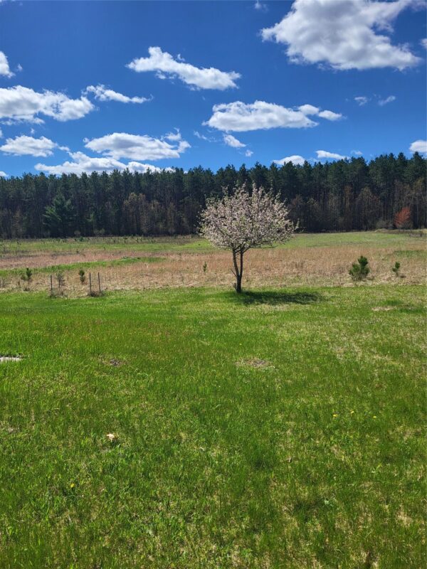 N4131 Valley Road, Black River Falls WI 54615 - Land house for sale - MLS #1599882 - image2