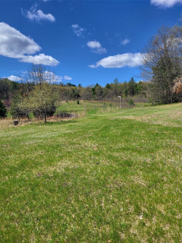 N4131 Valley Road, Black River Falls WI 54615 - Land house for sale - MLS #1599882 - image3