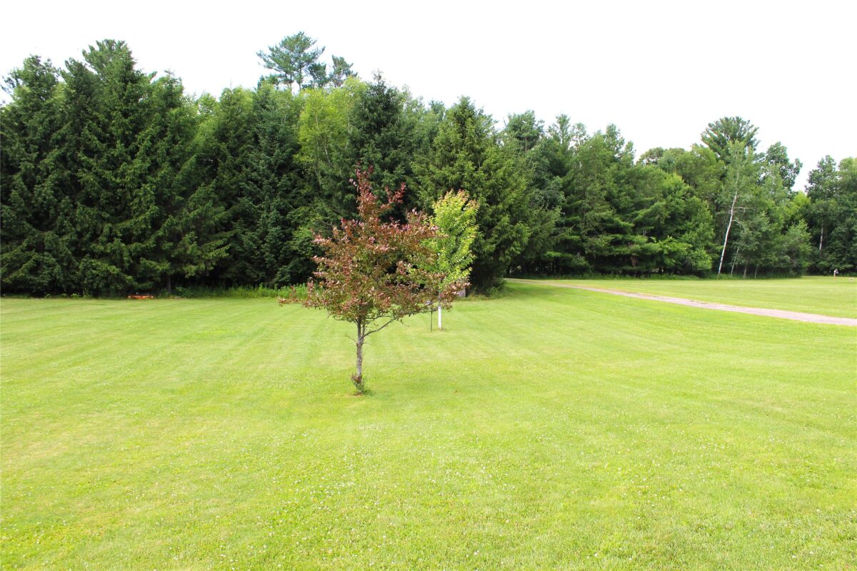 N7324 Sechlerville Road, Hixton WI 54635 - Residential house for sale - MLS #1602710 - image4