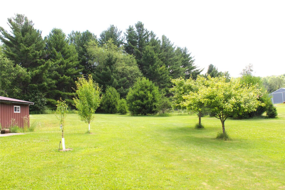 N7324 Sechlerville Road, Hixton WI 54635 - Residential house for sale - MLS #1602710 - image5