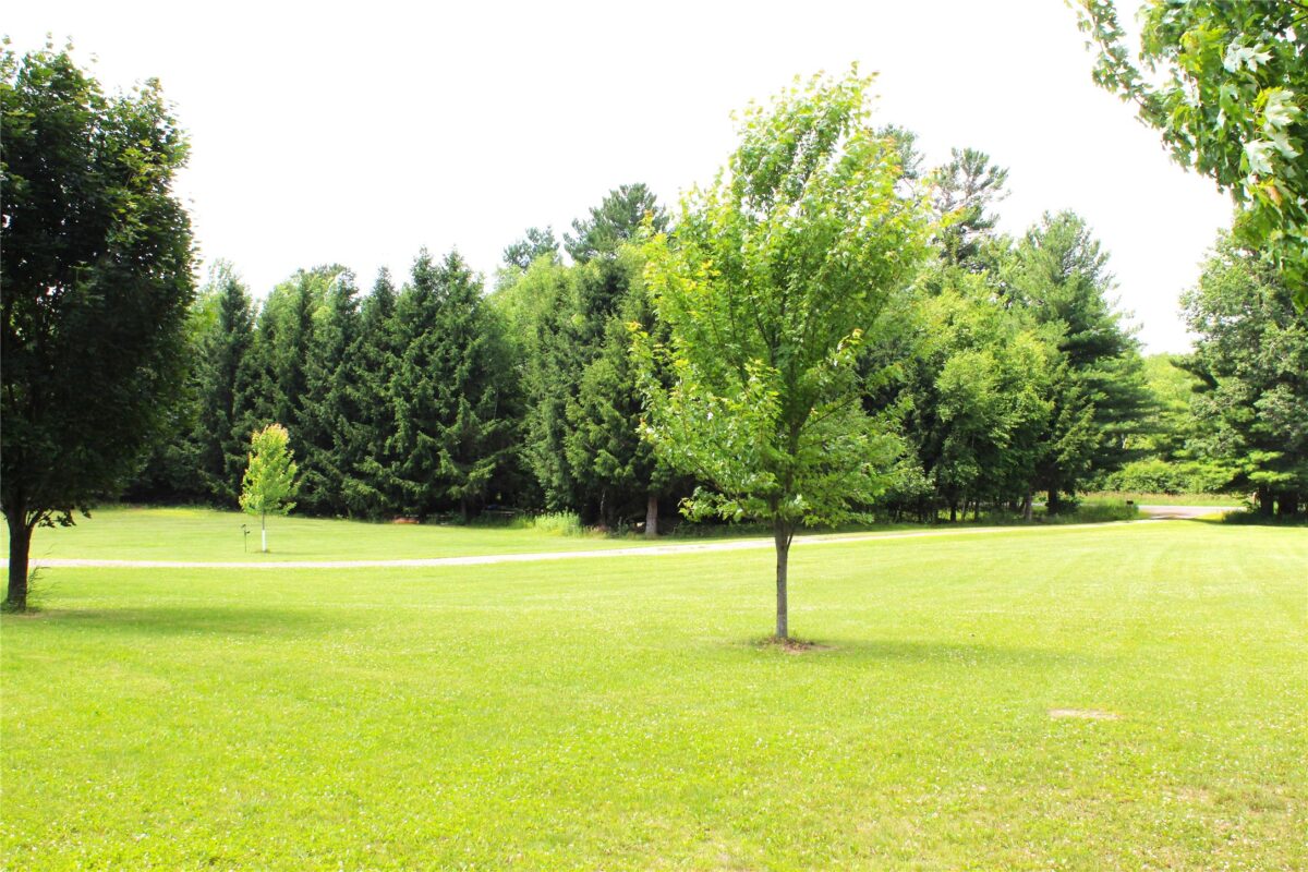 N7324 Sechlerville Road, Hixton WI 54635 - Residential house for sale - MLS #1602710 - image9