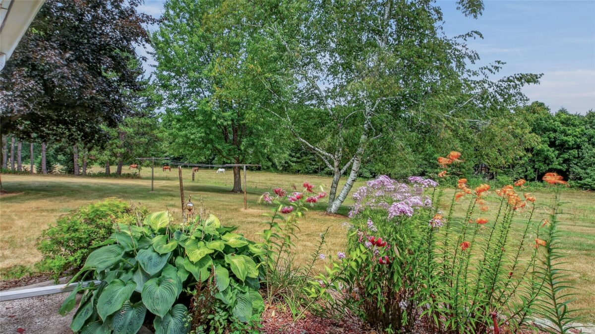 N8481 Kleba Road, Hixton WI 54635 - Residential house for sale - MLS #1604042 - image34