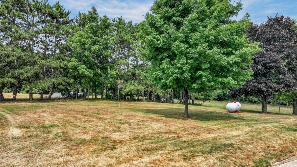 N8481 Kleba Road, Hixton WI 54635 - Residential house for sale - MLS #1604042 - image36