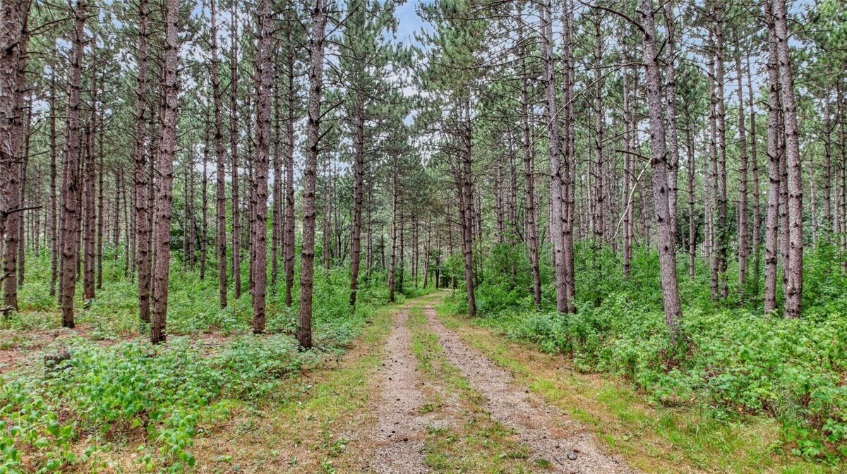 N8481 Kleba Road, Hixton WI 54635 - Residential house for sale - MLS #1604042 - image44