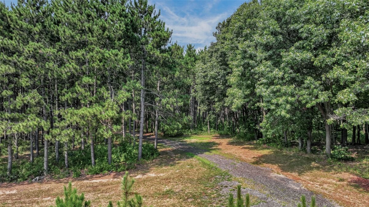 N8481 Kleba Road, Hixton WI 54635 - Residential house for sale - MLS #1604042 - image45