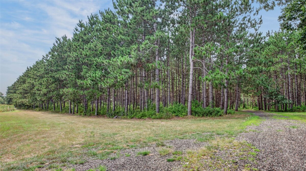 N8481 Kleba Road, Hixton WI 54635 - Residential house for sale - MLS #1604042 - image46