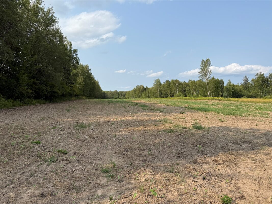 N8817 Smith Drive, Sheldon WI 54766 - Land house for sale - MLS #1598687 - image2
