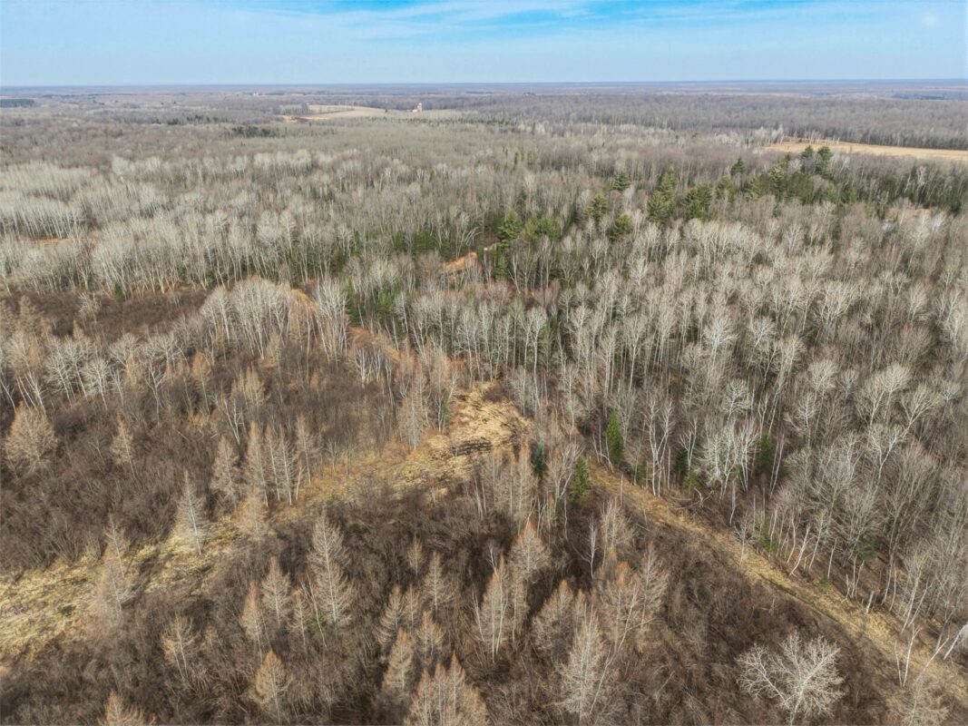 N8817 Smith Drive, Sheldon WI 54766 - Land house for sale - MLS #1598687 - image11