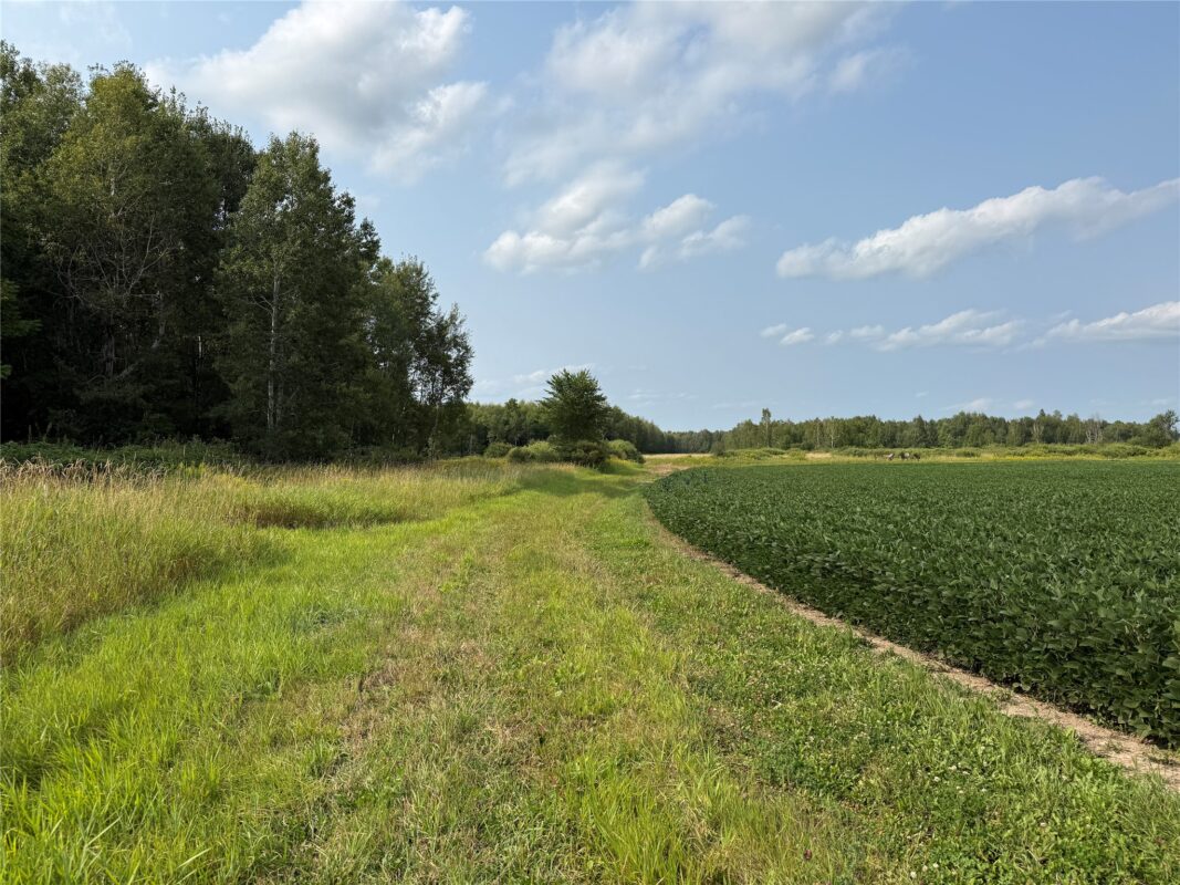 N8817 Smith Drive, Sheldon WI 54766 - Land house for sale - MLS #1598687 - image3