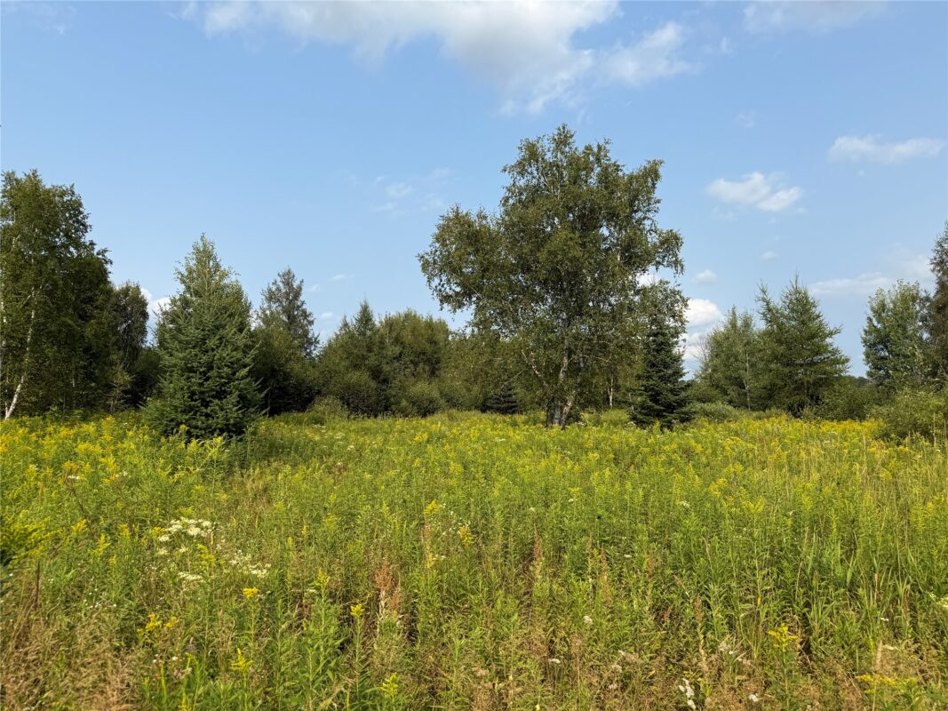 N8817 Smith Drive, Sheldon WI 54766 - Land house for sale - MLS #1598687 - image5