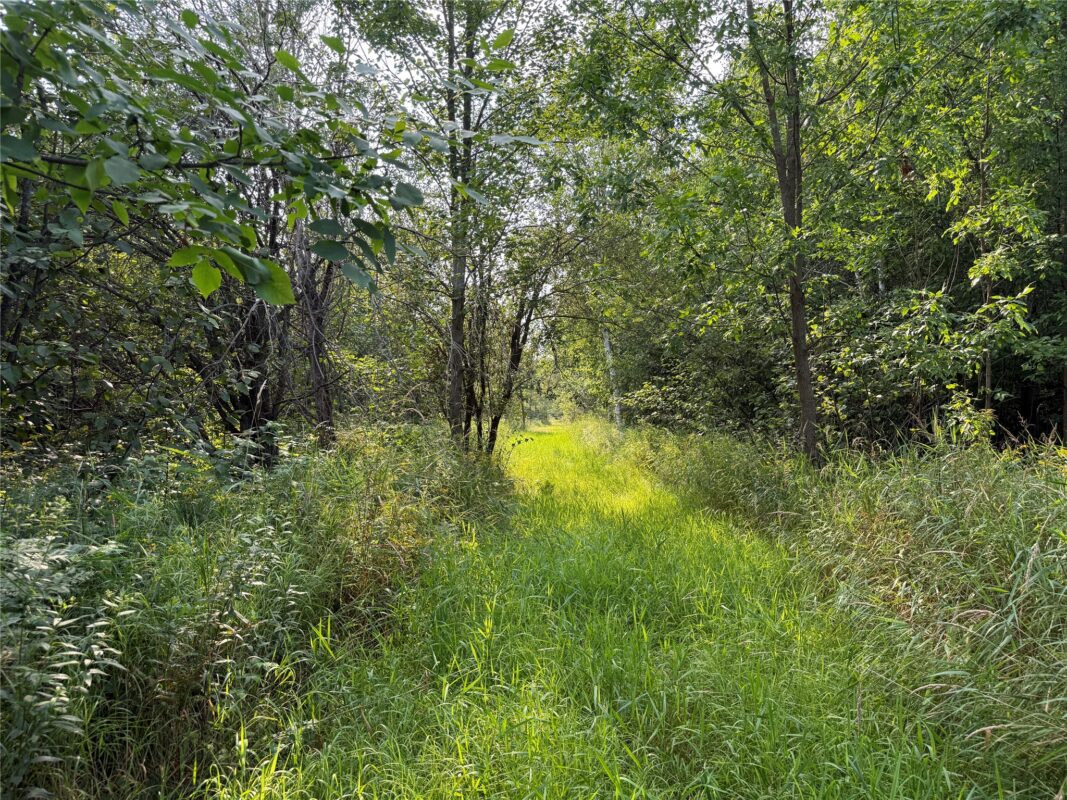 N8817 Smith Drive, Sheldon WI 54766 - Land house for sale - MLS #1598687 - image6