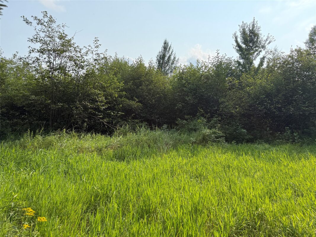 N8817 Smith Drive, Sheldon WI 54766 - Land house for sale - MLS #1598687 - image7
