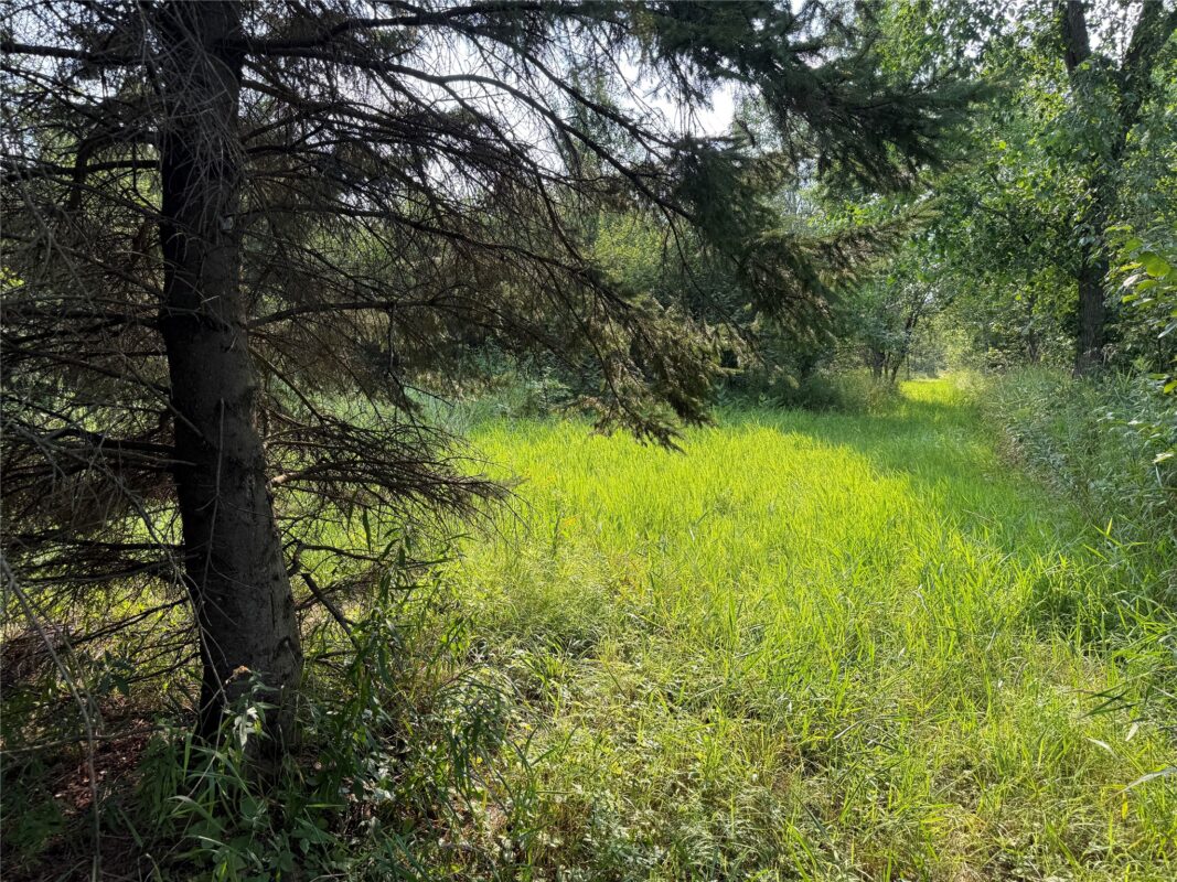 N8817 Smith Drive, Sheldon WI 54766 - Land house for sale - MLS #1598687 - image8