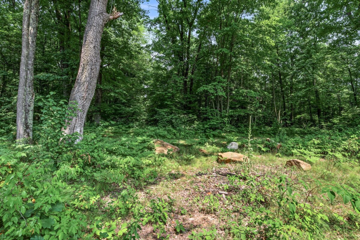 N9825 Crystal Waters Court, Willard WI 54493 - Residential house for sale - MLS #1603962 - image41