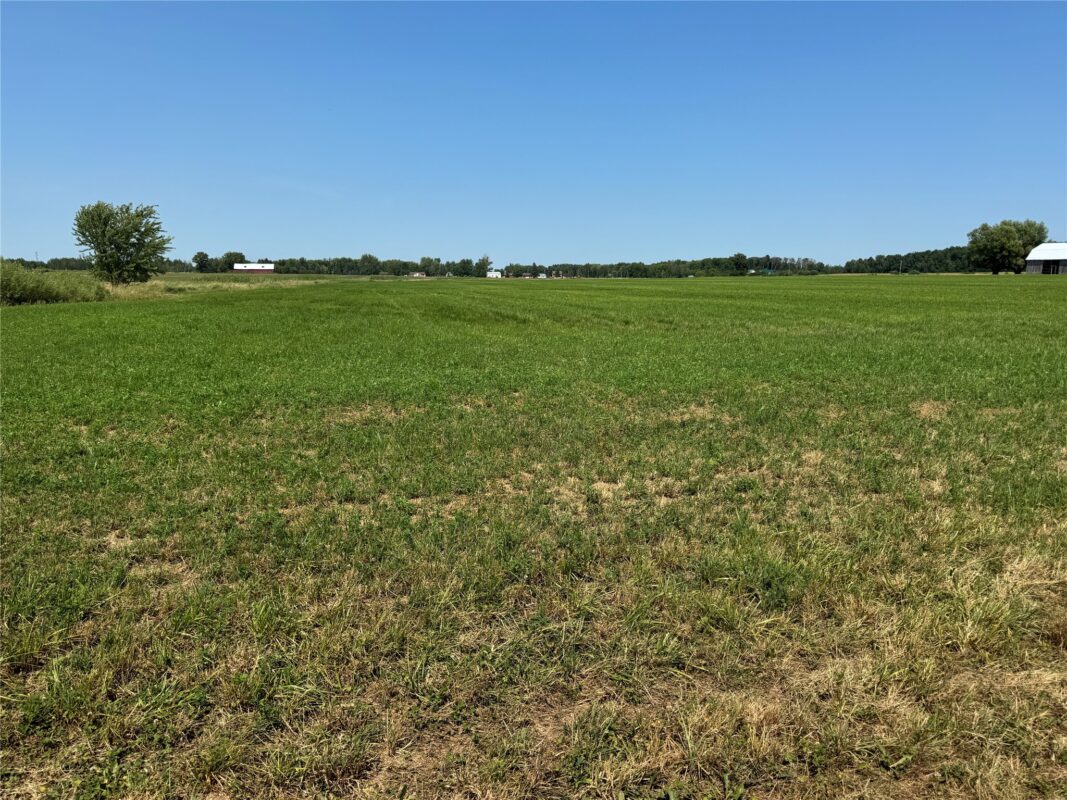 OOO HWY 97, Stratford WI 54484 - Land house for sale - MLS #1603786 - image14