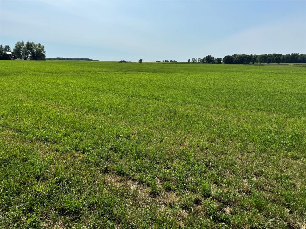 OOO HWY 97, Stratford WI 54484 - Land house for sale - MLS #1603786 - image16