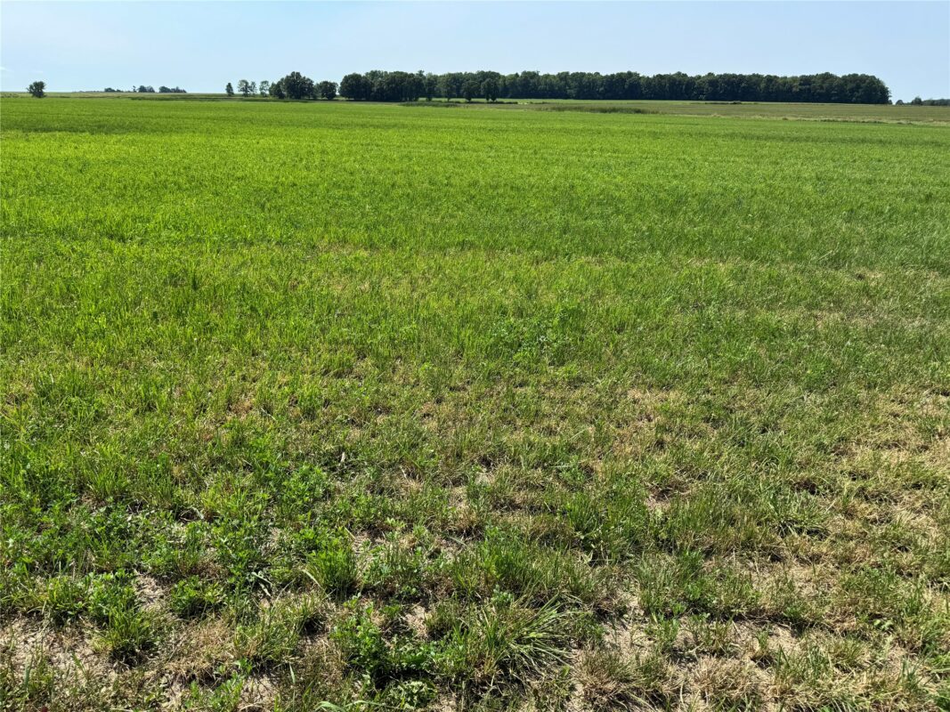OOO HWY 97, Stratford WI 54484 - Land house for sale - MLS #1603786 - image17