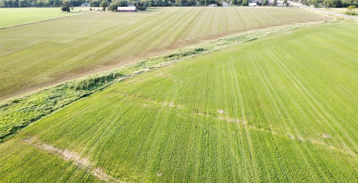 OOO HWY 97, Stratford WI 54484 - Land house for sale - MLS #1603786 - image5