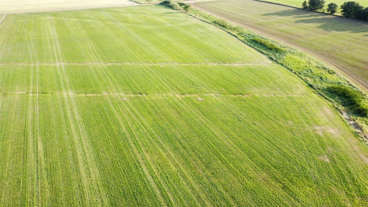OOO HWY 97, Stratford WI 54484 - Land house for sale - MLS #1603786 - image9