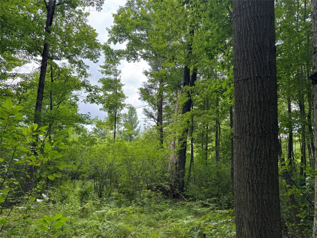 OOO Patton Drive, Marshfield WI 54449 - Land house for sale - MLS #1603910 - image14