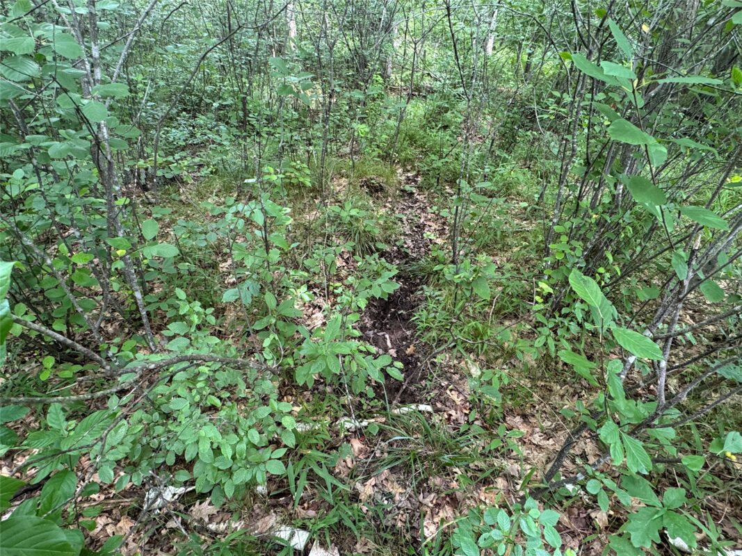 OOO Patton Drive, Marshfield WI 54449 - Land house for sale - MLS #1603910 - image16