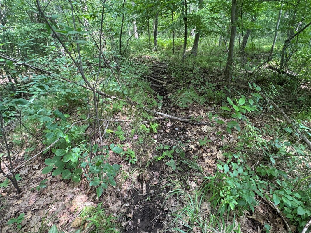 OOO Patton Drive, Marshfield WI 54449 - Land house for sale - MLS #1603910 - image17