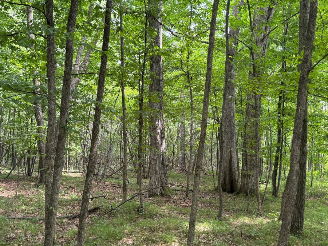 OOO Patton Drive, Marshfield WI 54449 - Land house for sale - MLS #1603910 - image19