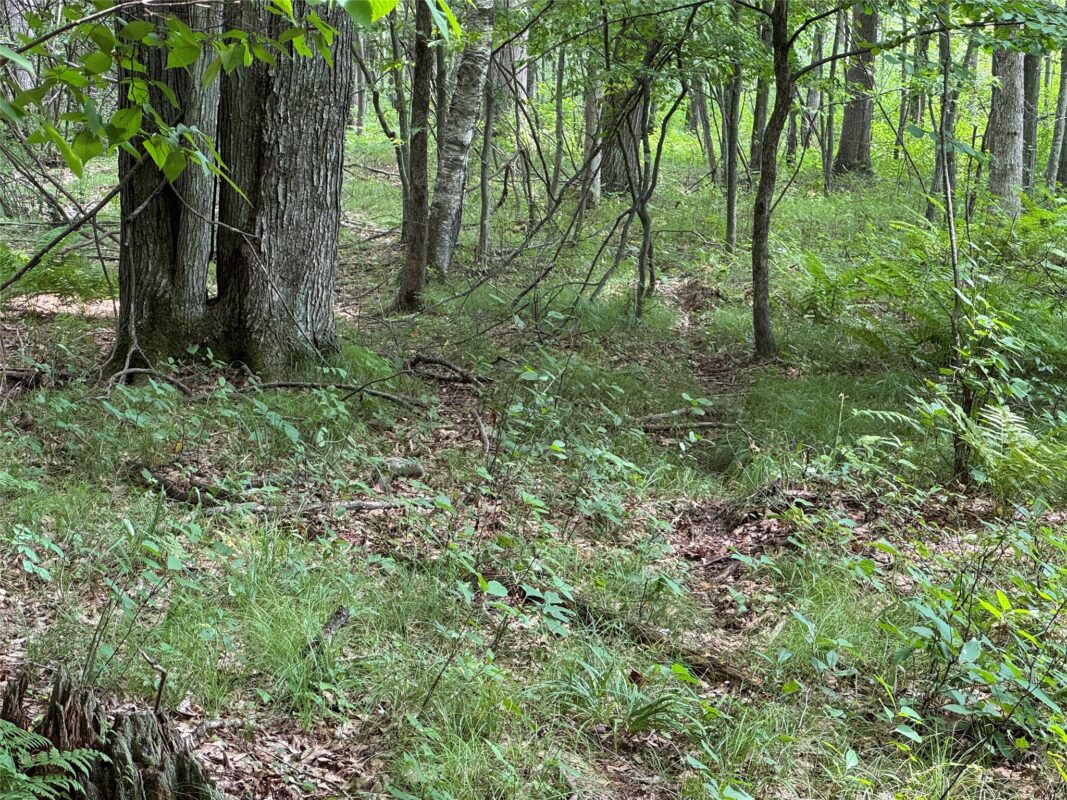 OOO Patton Drive, Marshfield WI 54449 - Land house for sale - MLS #1603910 - image20