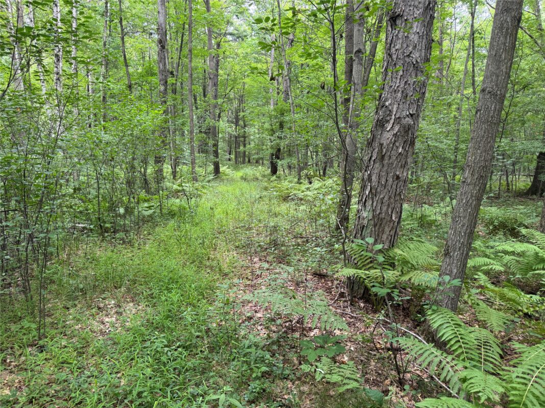 OOO Patton Drive, Marshfield WI 54449 - Land house for sale - MLS #1603910 - image3