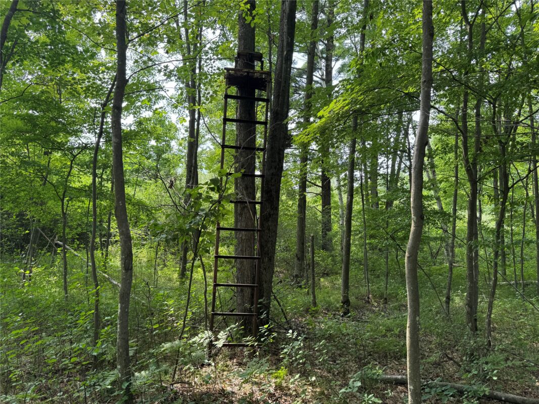 OOO Patton Drive, Marshfield WI 54449 - Land house for sale - MLS #1603910 - image21