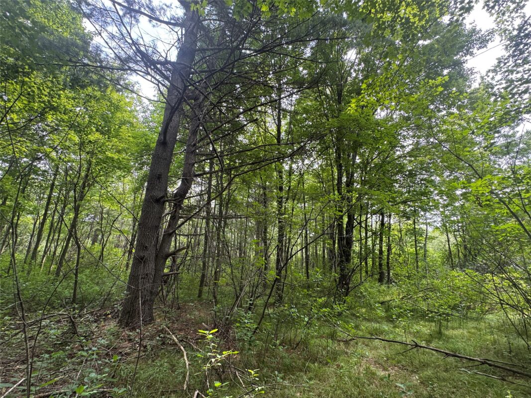 OOO Patton Drive, Marshfield WI 54449 - Land house for sale - MLS #1603910 - image23