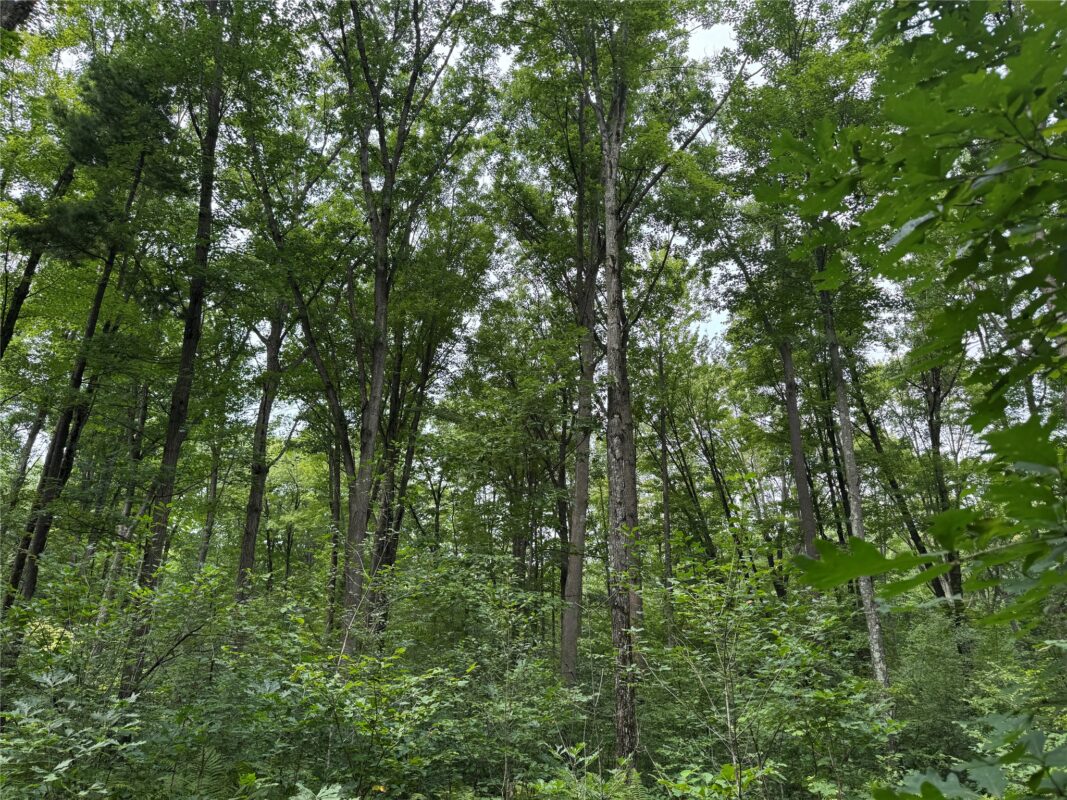 OOO Patton Drive, Marshfield WI 54449 - Land house for sale - MLS #1603910 - image24
