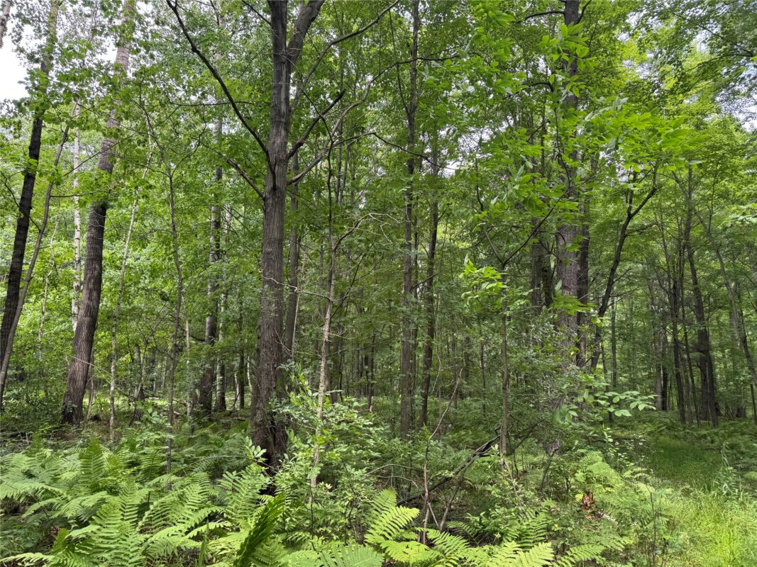 OOO Patton Drive, Marshfield WI 54449 - Land house for sale - MLS #1603910 - image4