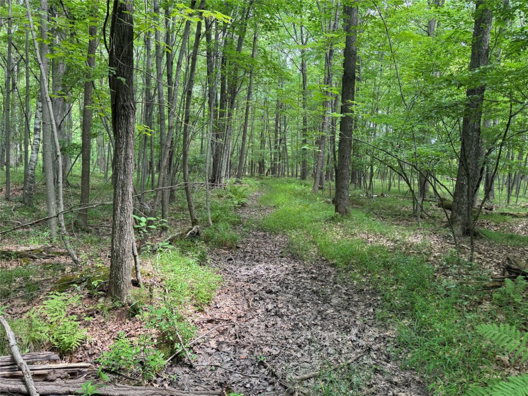 OOO Patton Drive, Marshfield WI 54449 - Land house for sale - MLS #1603910 - image10