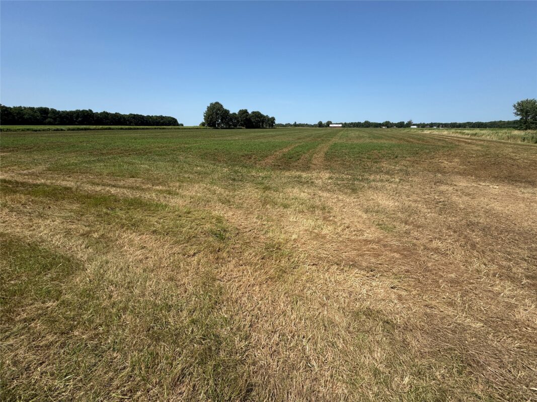 OOO State Highway 97, Stratford WI 54484 - Land house for sale - MLS #1603786 - image12