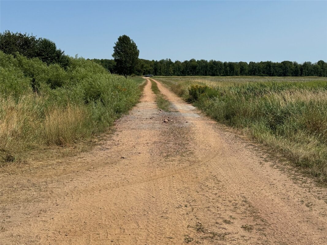 OOO State Highway 97, Stratford WI 54484 - Land house for sale - MLS #1603786 - image13