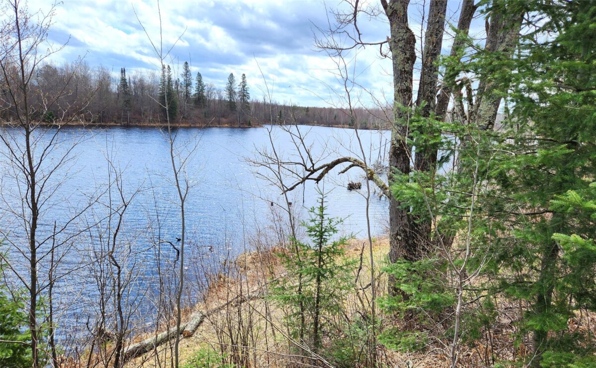 Off Hay Creek Road, Prentice WI 54556 - Land house for sale - MLS #1601325 - image2