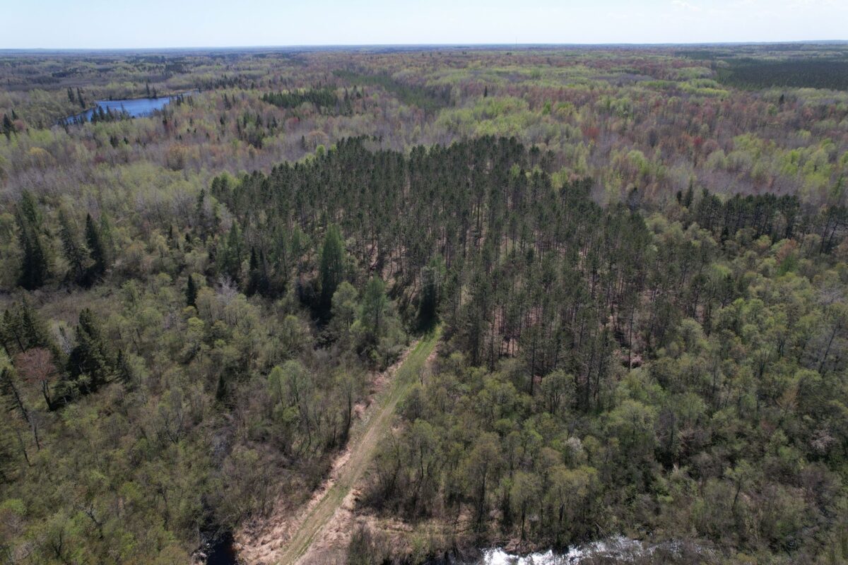 Off Hay Creek Road, Prentice WI 54556 - Land house for sale - MLS #1601325 - image11