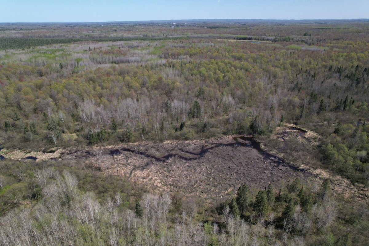 Off Hay Creek Road, Prentice WI 54556 - Land house for sale - MLS #1601325 - image12