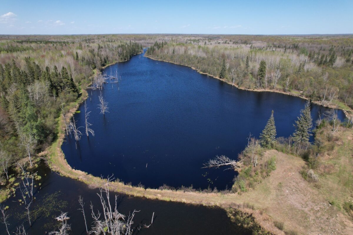 Off Hay Creek Road, Prentice WI 54556 - Land house for sale - MLS #1601325 - image3