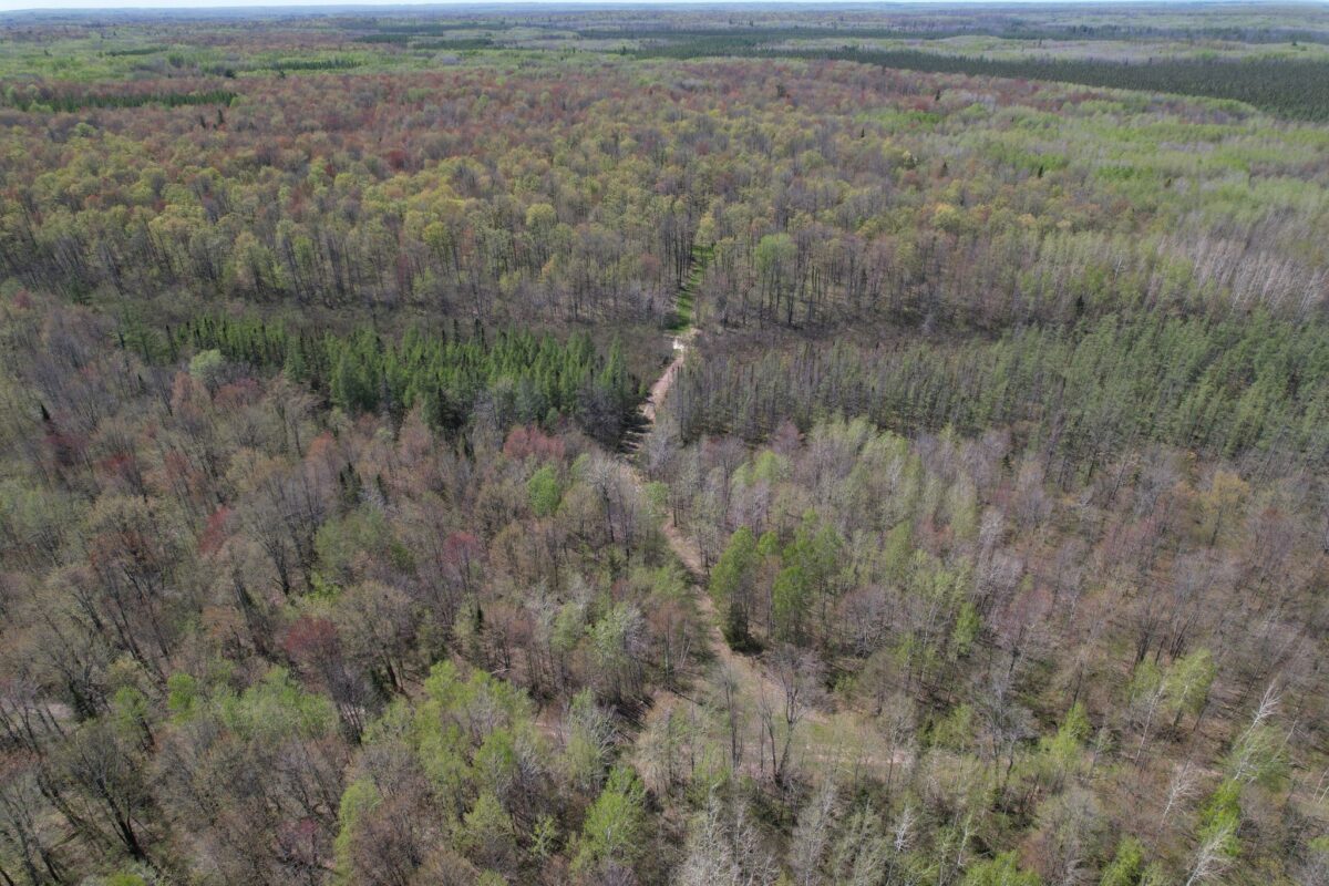Off Hay Creek Road, Prentice WI 54556 - Land house for sale - MLS #1601325 - image6