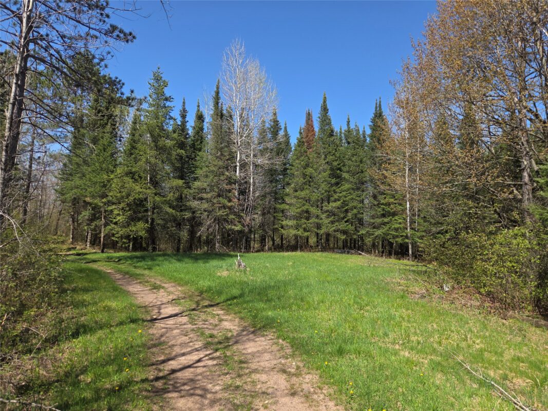 Off Hay Creek Road, Prentice WI 54556 - Land house for sale - MLS #1601325 - image8