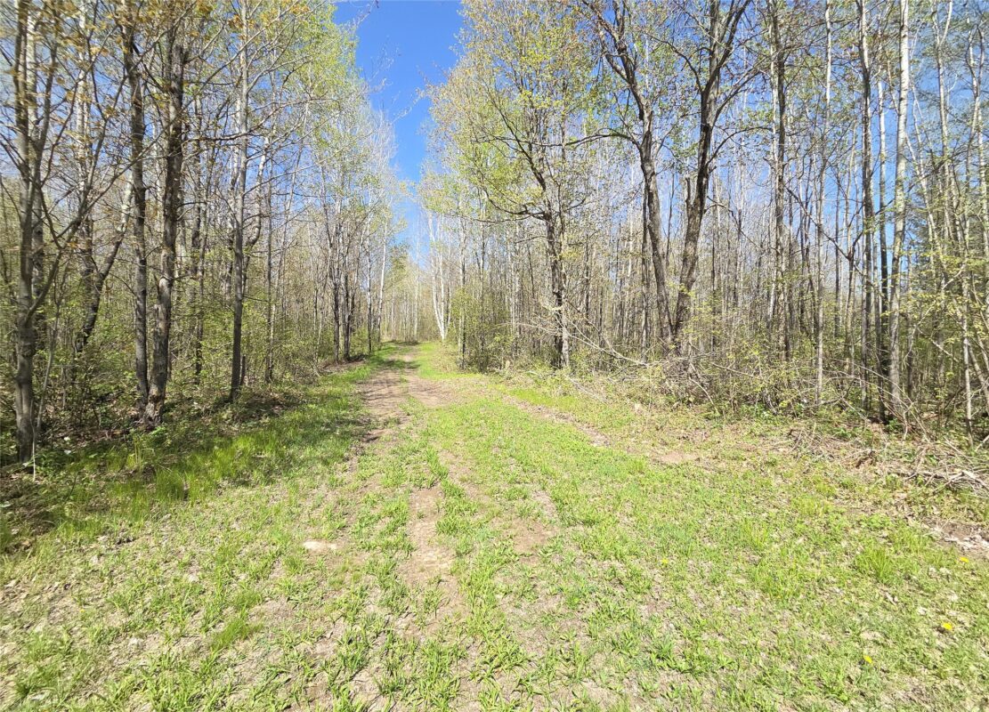 Off Hay Creek Road, Prentice WI 54556 - Land house for sale - MLS #1601325 - image9