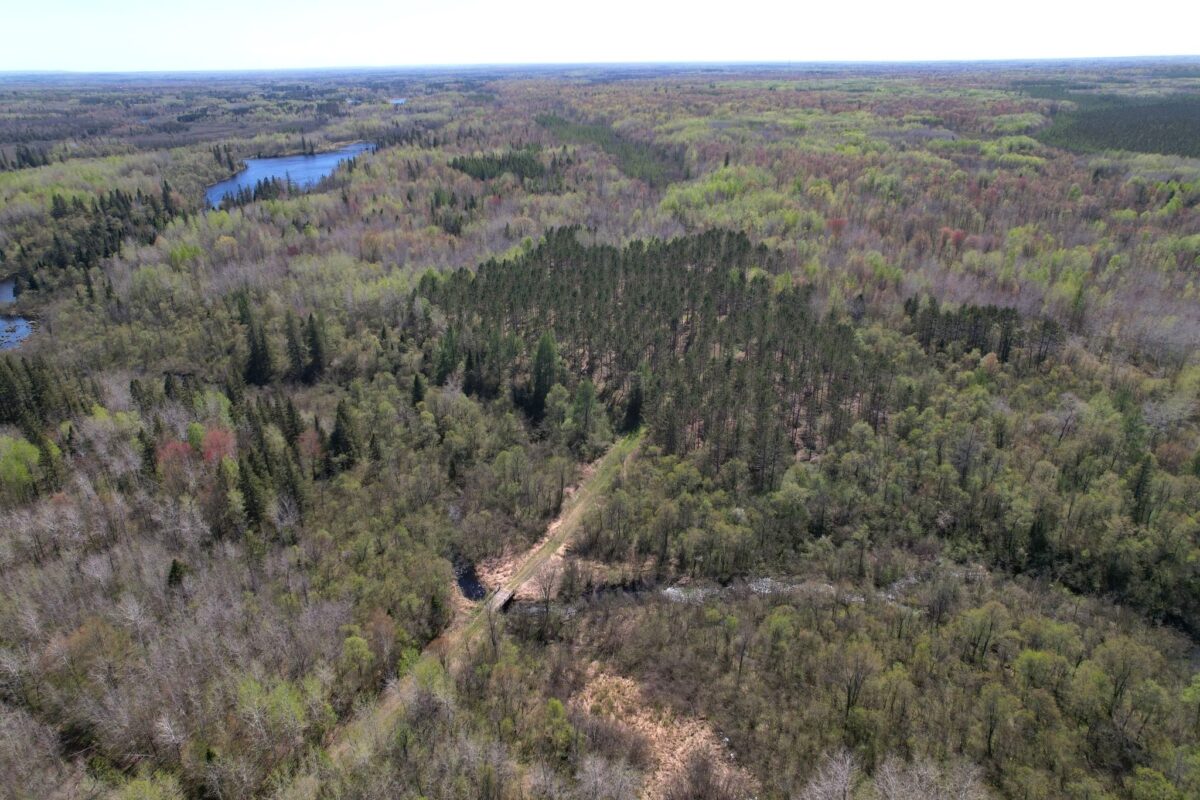 Off Hay Creek Road, Prentice WI 54556 - Land house for sale - MLS #1601325 - image10