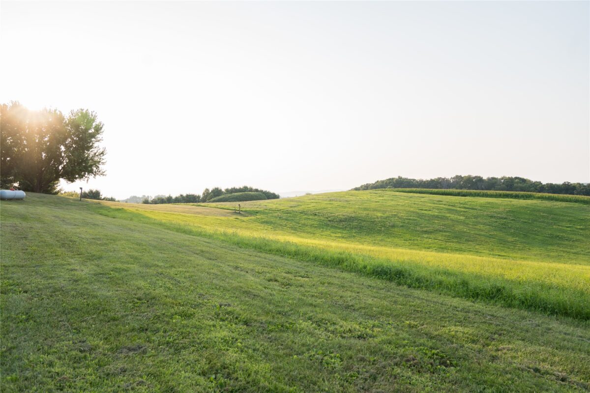S373 Dammen Road, Mondovi WI 54755 - Residential house for sale - MLS #1603666 - image56
