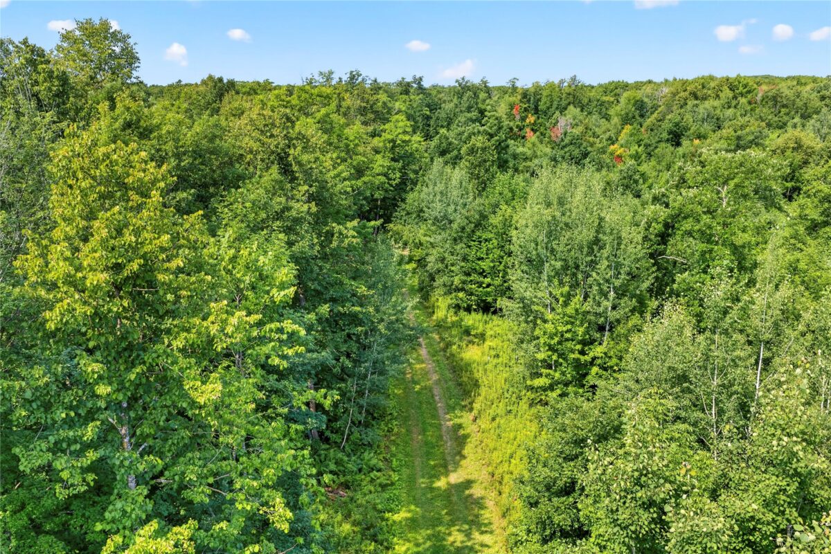 , Springbrook WI 54875 - Land house for sale - MLS #1604107 - image11