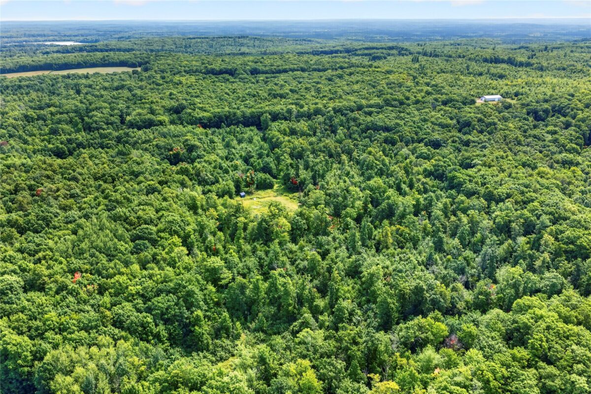 , Springbrook WI 54875 - Land house for sale - MLS #1604107 - image12
