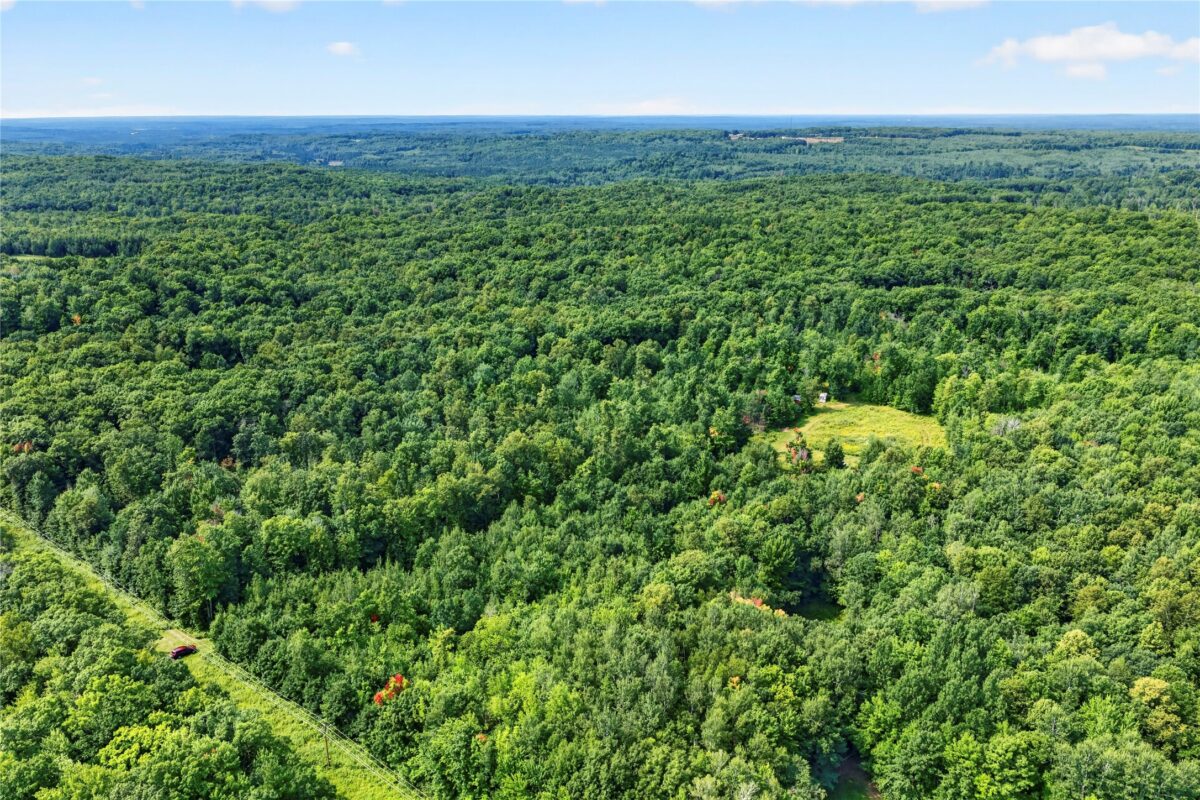 , Springbrook WI 54875 - Land house for sale - MLS #1604107 - image10