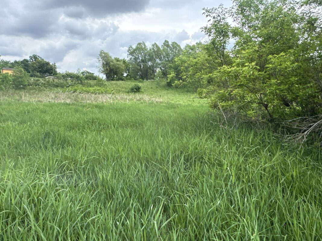 TBD 10 1/2 Avenue, Clayton WI 54004 - Land house for sale - MLS #1602115 - image3
