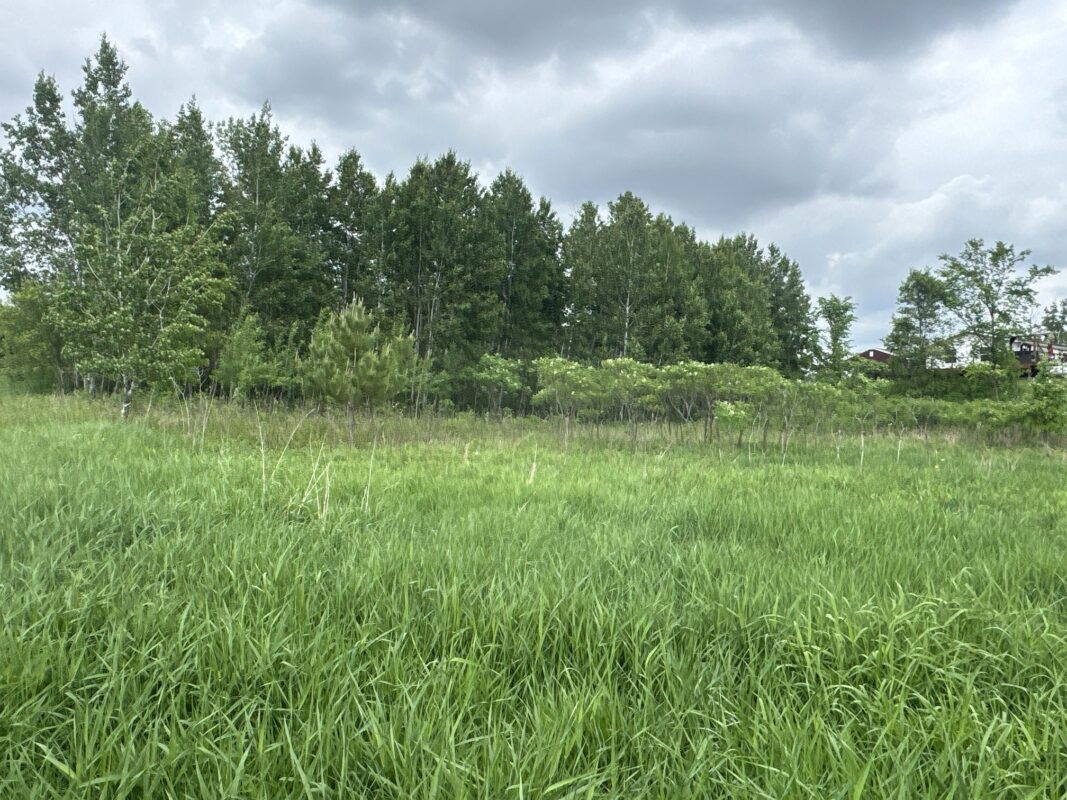 TBD 10 1/2 Avenue, Clayton WI 54004 - Land house for sale - MLS #1602115 - image7